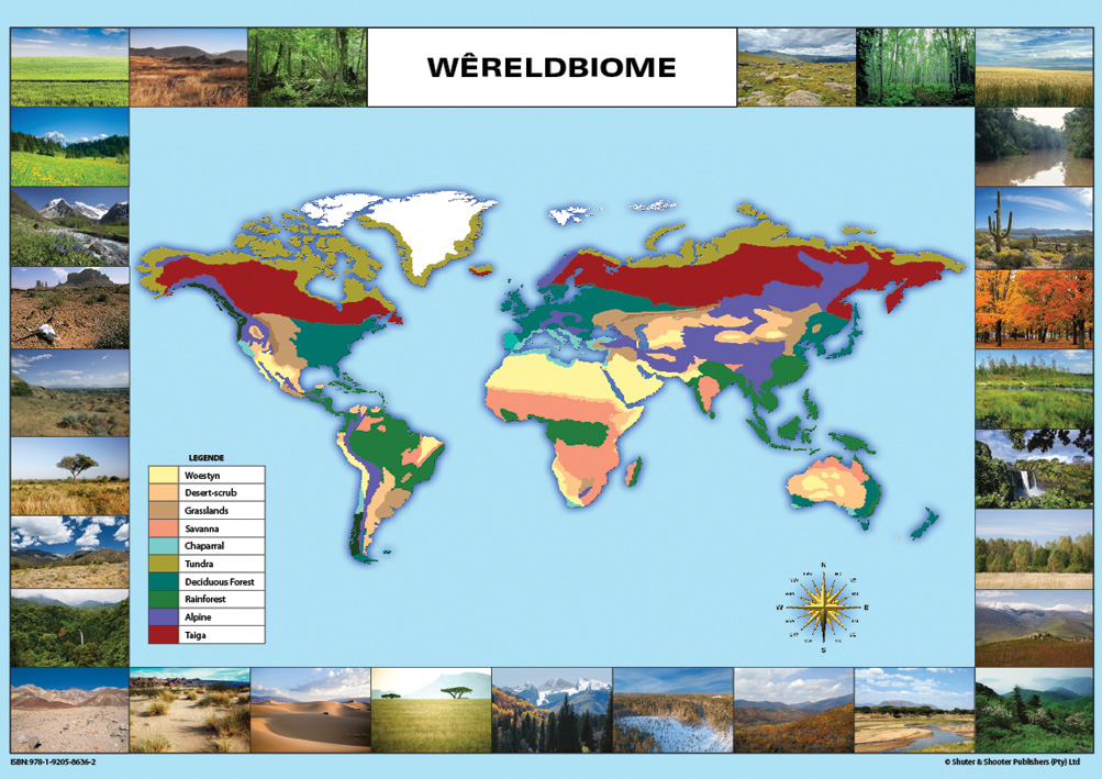 CHART: WERELDBIOME KAARTE A1 (FLAT) Cover