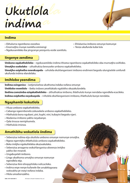 CHART: WRITING PARAGRAPHS (NDEBELE) A2 Cover