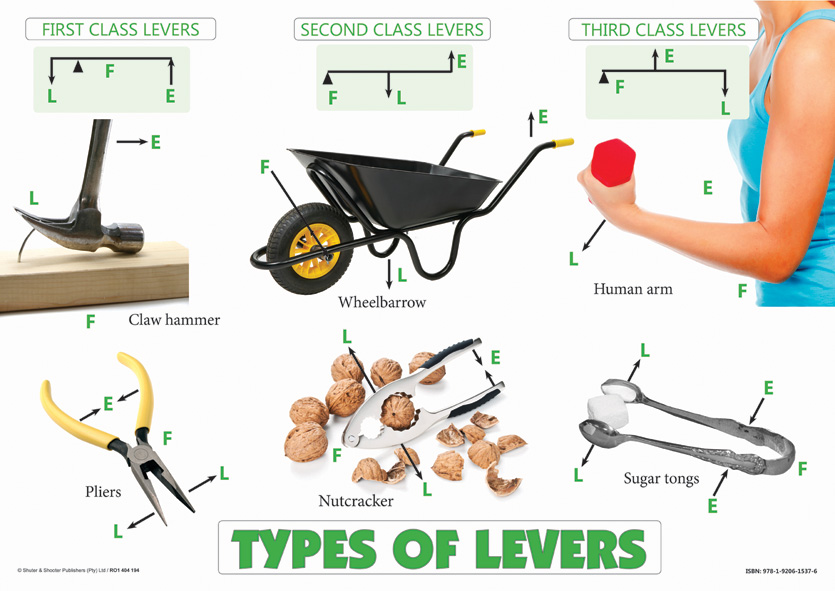 CHART: TYPES OF LEVERS A2 (FLAT) Cover