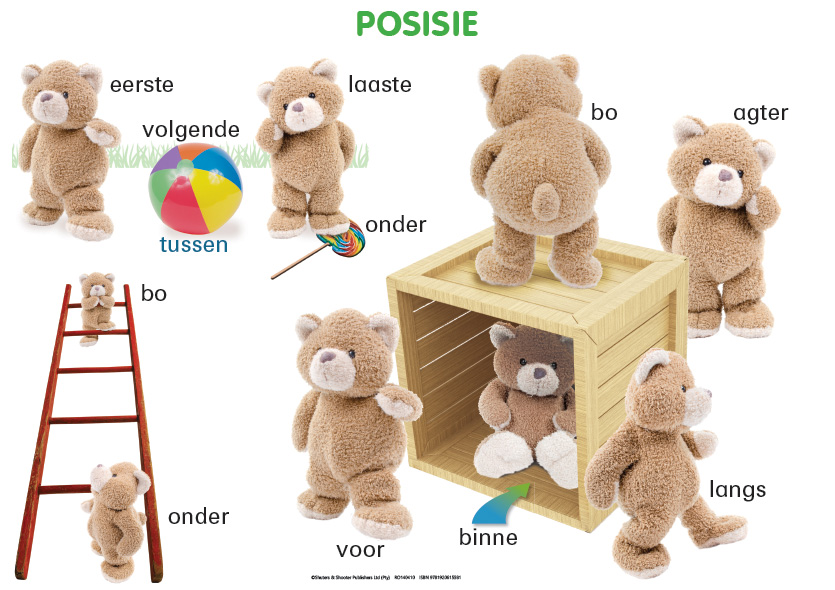CHART: POSISIE A2 (FLAT) Cover