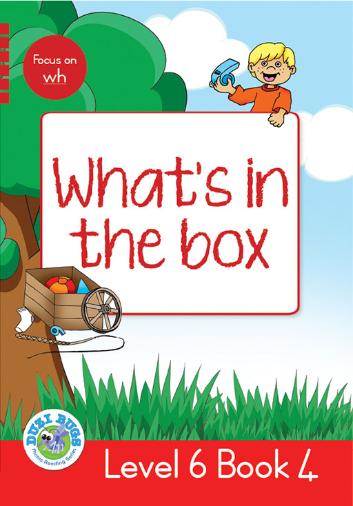 DUZI BUGS: RED LEVEL 6: BOOK 4: WHAT'S IN THE BOX? Cover