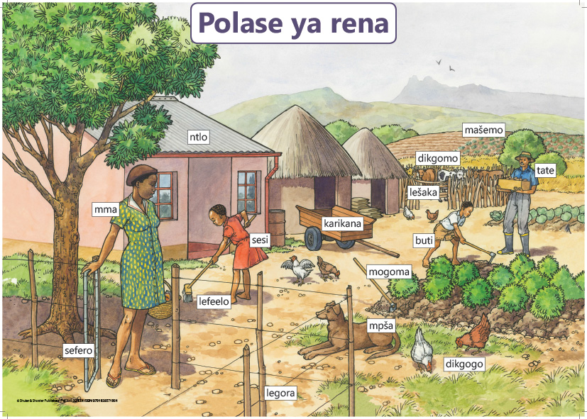 CHART: OUR FARM SEPEDI A2 Cover