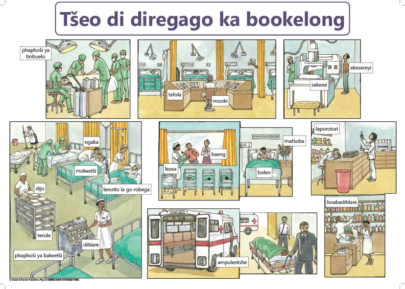 CHART: WHAT HAPPENS IN A HOSPITAL SEPEDI A2 Cover